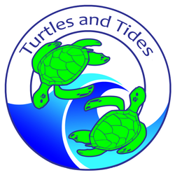 Turtles and Tides 