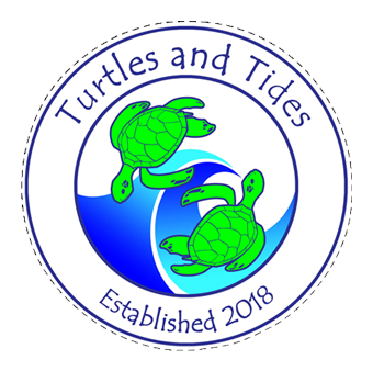 4" x 4" Turtles and Tides Car Magnet - Turtles and Tides 
